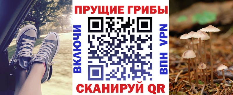 Галлюциногенные грибы Psilocybine cubensis  blacksprut маркетплейс  Юрга 
